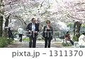 cherry blossom, cherry tree, sakura 1311370
