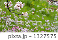 桜 1327575