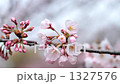 桜 1327576