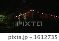 Night scene 32 1612735