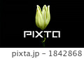 開花的開花場景精細速度攝影百合 1842868