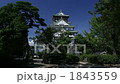 大坂城3 1843559