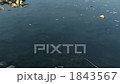 生活汚水3（濁った水面） 1843567