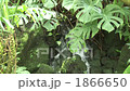 water flowing 1866650