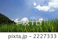 仲夏米和藍天和山脈放大 2227333