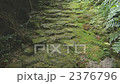 熊野古道 2376796