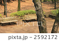 公園のベンチ 2592172