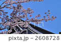 京都の桜２ 2608728
