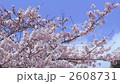 京都の桜５ 2608731