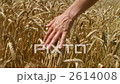 小麥 手 行動 2614008