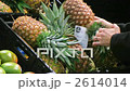 水果 菠蘿 鳳梨 2614014