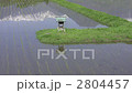 Rice field and shrine 2804457