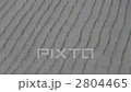 Rain falling in a rice field 2804465