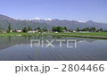 Rice field and Konjotake 2804466