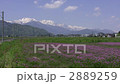 Oki Line and North Alps 2889259