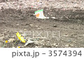 花 3574394