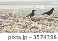 ゴミ捨て場のカラス 3574398