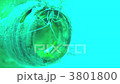 Nakamoto Irowake goby Nakamoto Irowake goby 3801800
