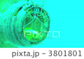Nakamoto Irowake goby Nakamoto Irowake goby 3801801