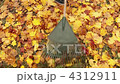 Person raking leaves 4312911