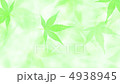 循環視頻 4938945