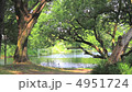 Fresh green and lake 4951724