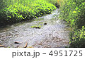 stream 4951725