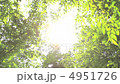 Sunbeams 4951726