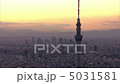 [Aerial view] Twilight Sky Tree Shinjuku Fukutoshin to Mt. Fuji 5031581