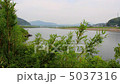 四万十大橋 5037316