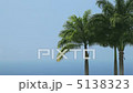 Palm trees and seas 5138323