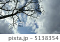 Cloud flow and trees 5138354