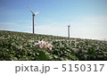 Windmill and potato flower fixes 5150317