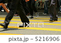Slow Motion of Walkers 5216906