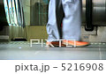 Slow Motion of a Walker 5216908