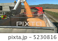 A timelapse of loading harvested corn into a truck 5230816