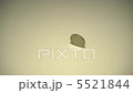 慢動作：硬幣旋轉 5521844
