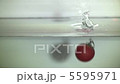 慢動作：番茄落水2 5595971