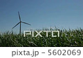 風力発電 5602069