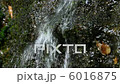 湧き水 6016875