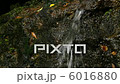湧き水 6016880