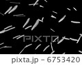 Dancing feathers Dancing feathers 6753420