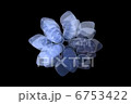 Transparent petals Transparent petals 6753422