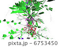 Flower and green loop Flower and green loop 6753450