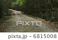 参道 参道 6815008
