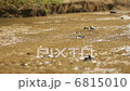 川 川 6815010