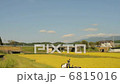 田舎の風景 田舎の風景 6815016
