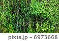 Spring water 6973668