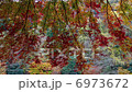 Autumn leaves 6973672
