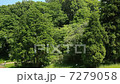 シャボン玉と新緑 7279058